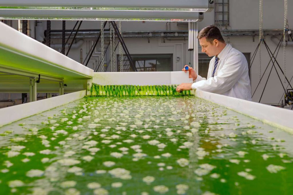 Thomas Brück im Algentechnikum der TU München. LEDs simulieren verschiedenste Lichtsituationen, damit die Algen wachsen können. Aus ihnen lassen sich Carbonfasern gewinnen, die Stahlarmierungen ersetzen können. (Bild: Andreas Heddergott / TUM)