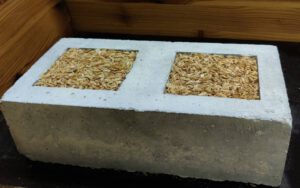 Betonbaustein aus rezyklierten Zuschlagstoffen und Reishülsenasche mit einer Reisstroh-Dämmung; Foto © Fraunhofer WKI