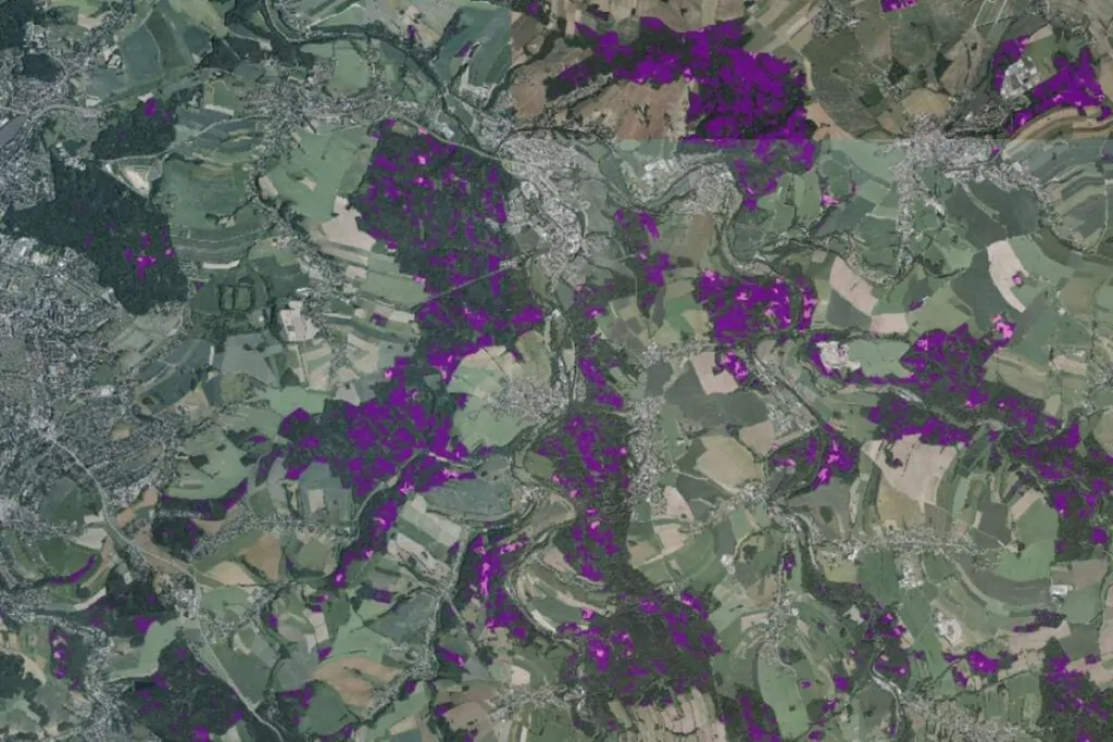 Region Chemnitz: Waldschadens- (lila) und Freiflächen (rosa) östlich von Chemnitz (Stadt Chemnitz links im Bild), Foto: © Sachsenforst
