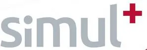 Zukunftsinitiative simul+